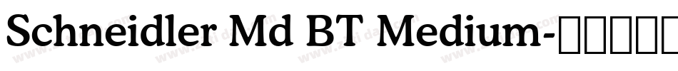Schneidler Md BT Medium字体转换